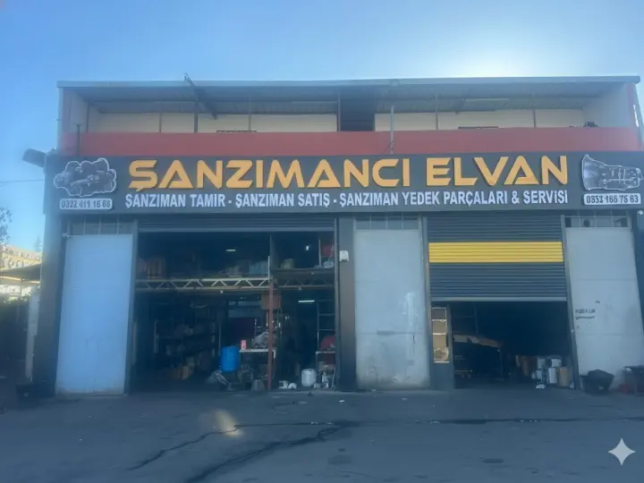 Şanzımancı Elvan