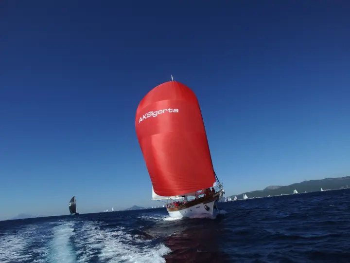 SAYGIN SİGORTA ACENTELİĞİ LTD.ŞTİ.