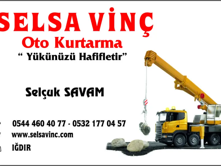 Selsa vinç