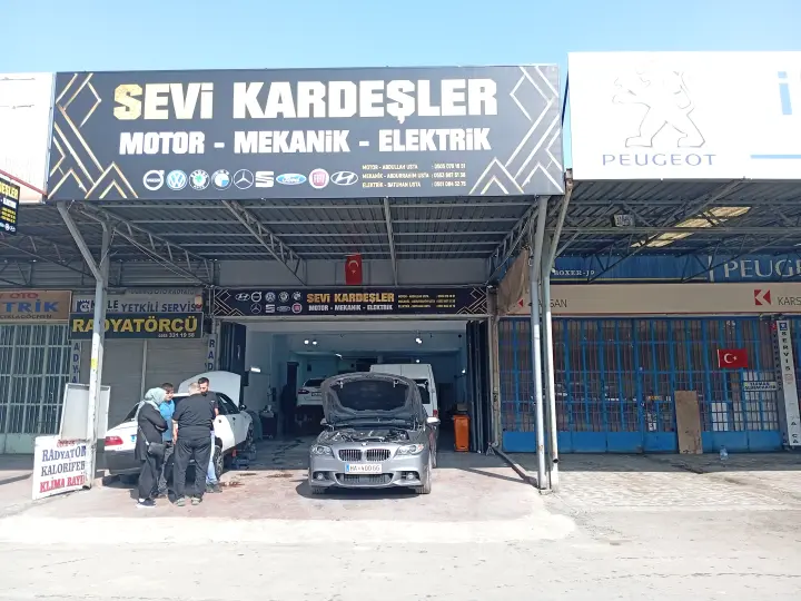 SEVİ KARDEŞLER