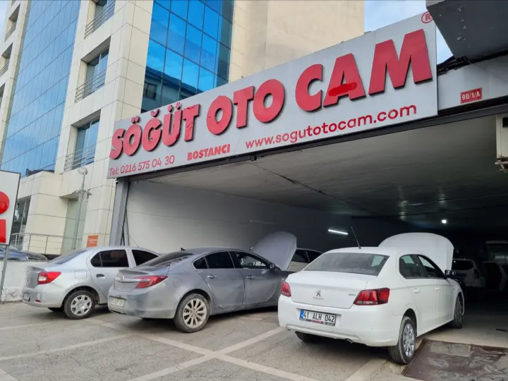 Söğüt Oto Cam® Bostancı Köprüsü