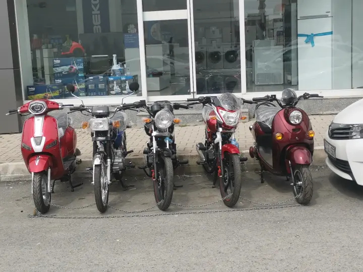 Soylular Grup Mondial