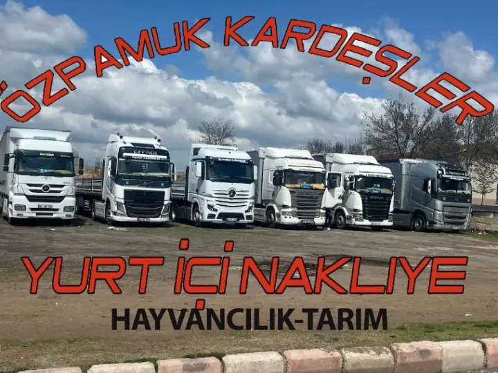 SS 269 Nolu Marmara Bölgesi Personel ve Motorlu Taşıtlar Kooparatifi - Hadımköy Nakliyat