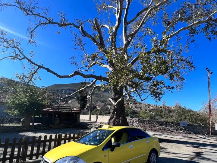 Taksici Erhan Gökçeada