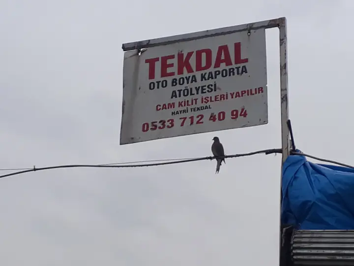 Tekdal oto kaporta
