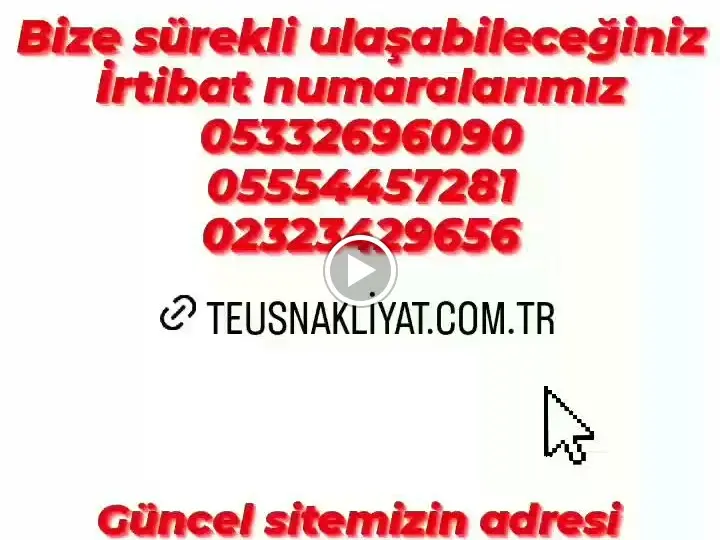 Teus Evden Eve Asansörlü Taşimacilik