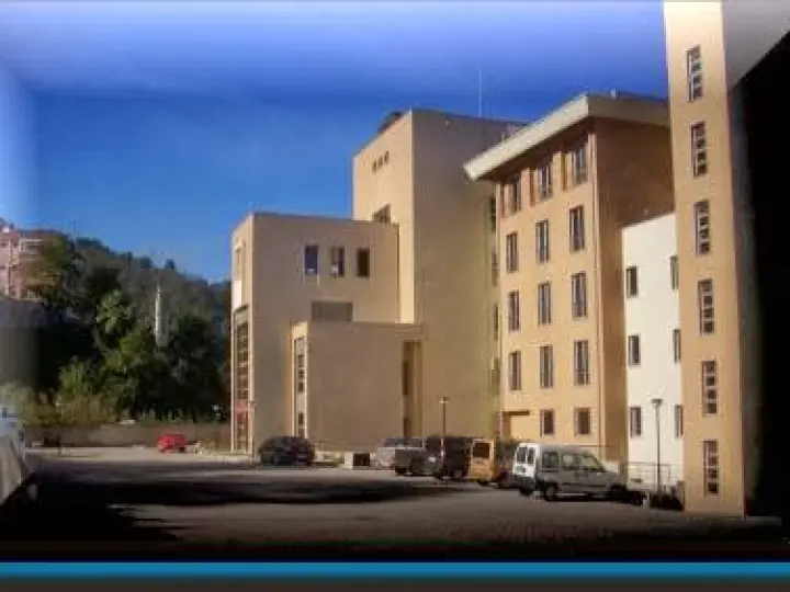 Tirebolu Oto Hastanesi