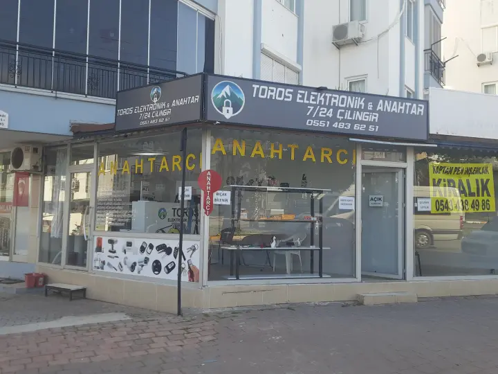 Toros Elektronik & Anahtar