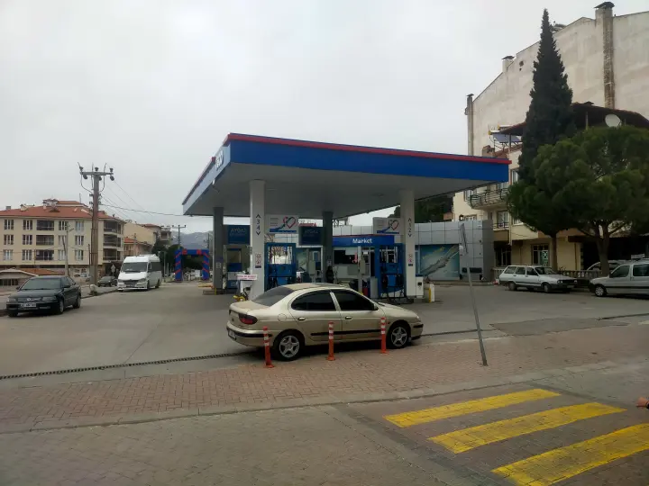 Total Tavas