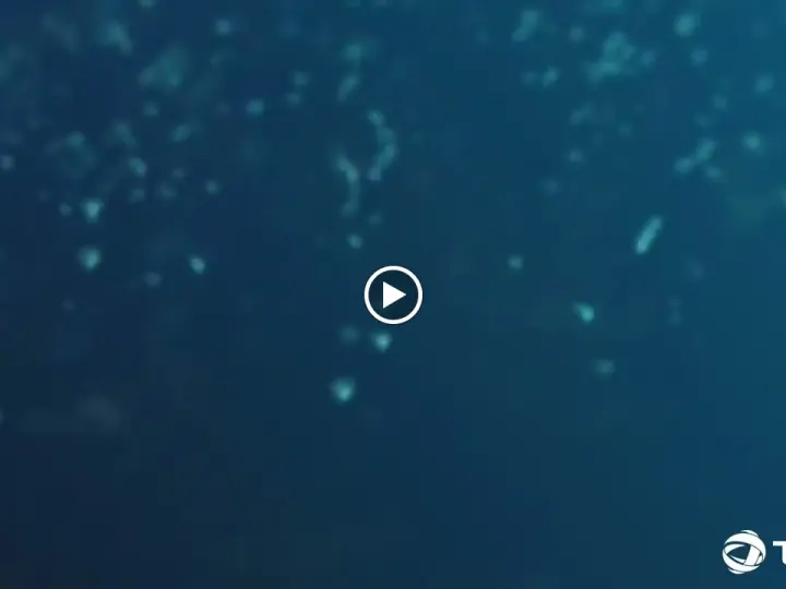 TotalEnergies İstasyonu