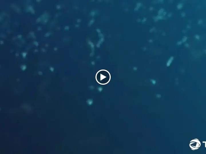 TotalEnergies İstasyonu