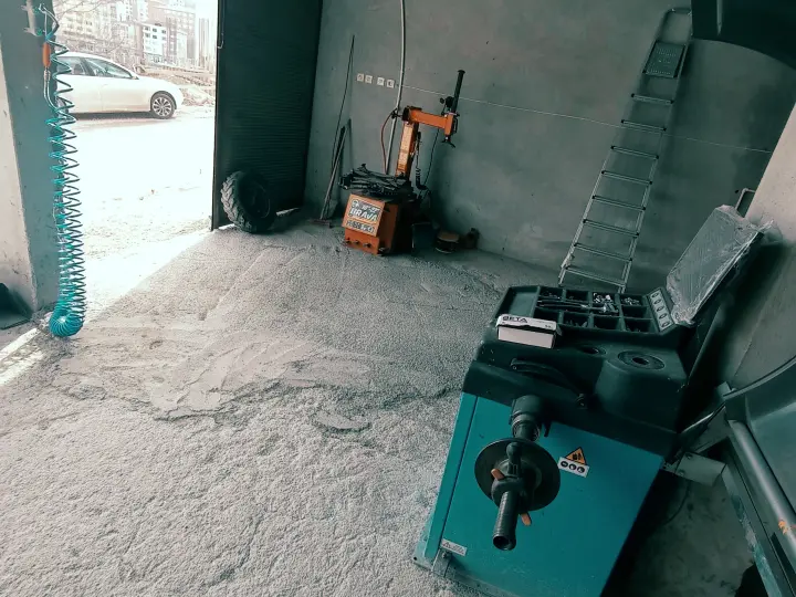 Tozaklar otol astik