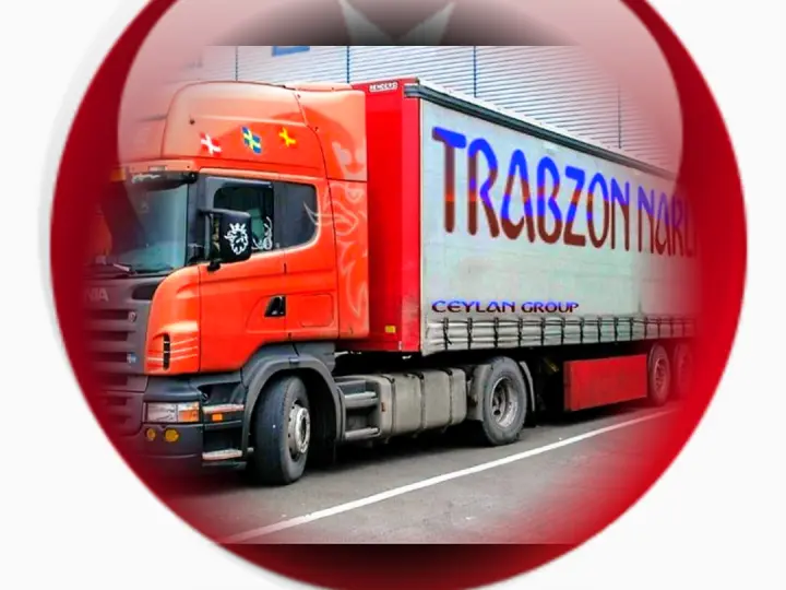 TRABZON NAKLİYAT