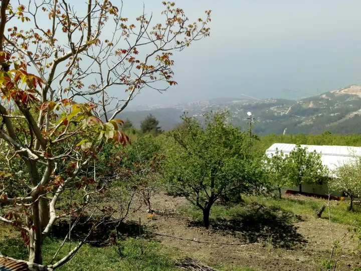 Tunç Sigorta - Tuncay Araz