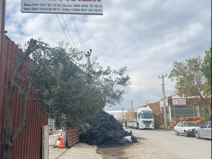 TURGUTLU TANIK HURDACI
