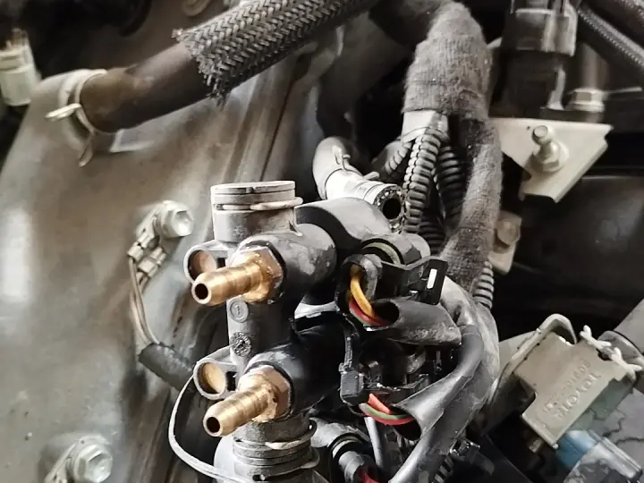 Uğur Kardeşler Zavoli