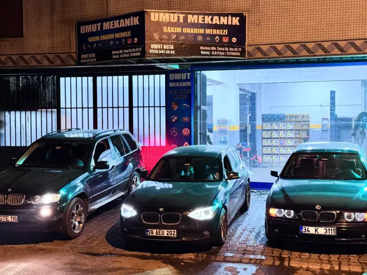 Umut mekanik