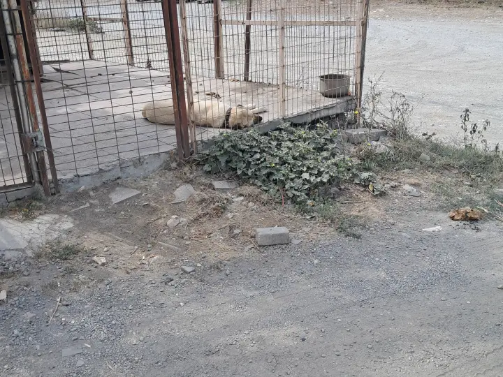 Upitrans tır parkı