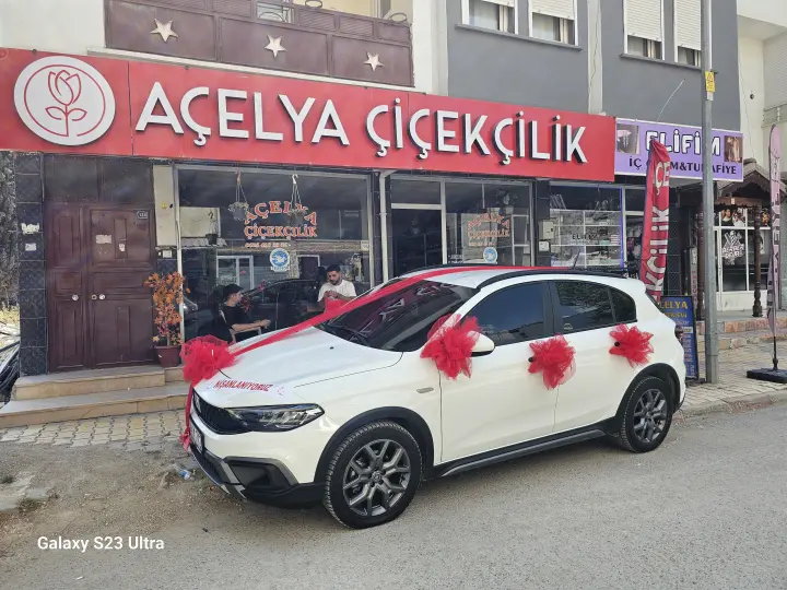 UZM.DR.FIAT.TA.TA.TAMİRCİENESSS
