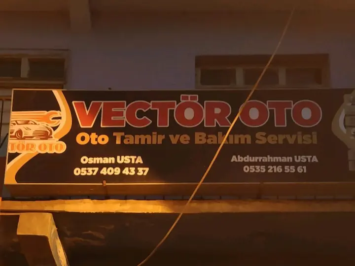 Vectör Oto
