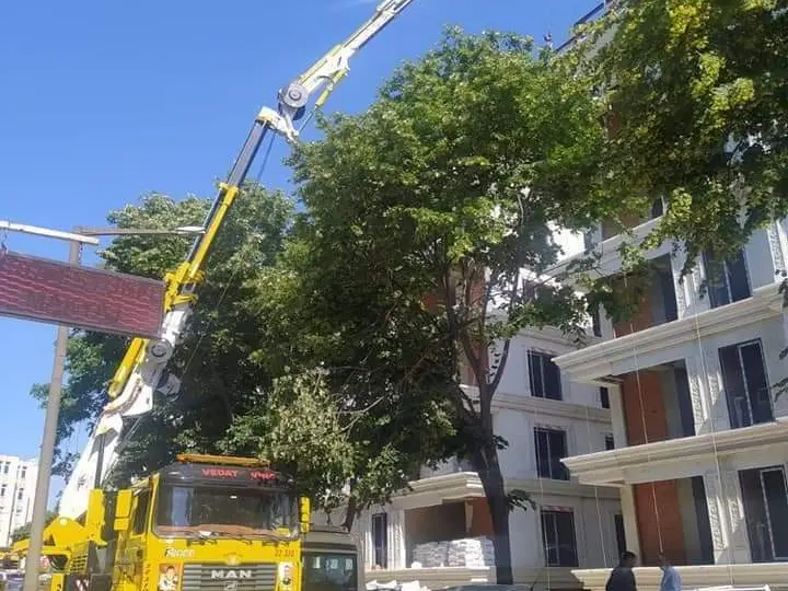 Vedat Vinç - İstanbul Vinç Kiralama