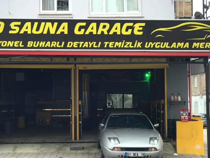 Vipotosauna_zeus otoyıkama