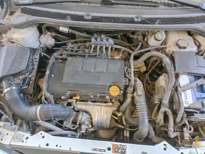 Yapıcı oto ve halı yıkama