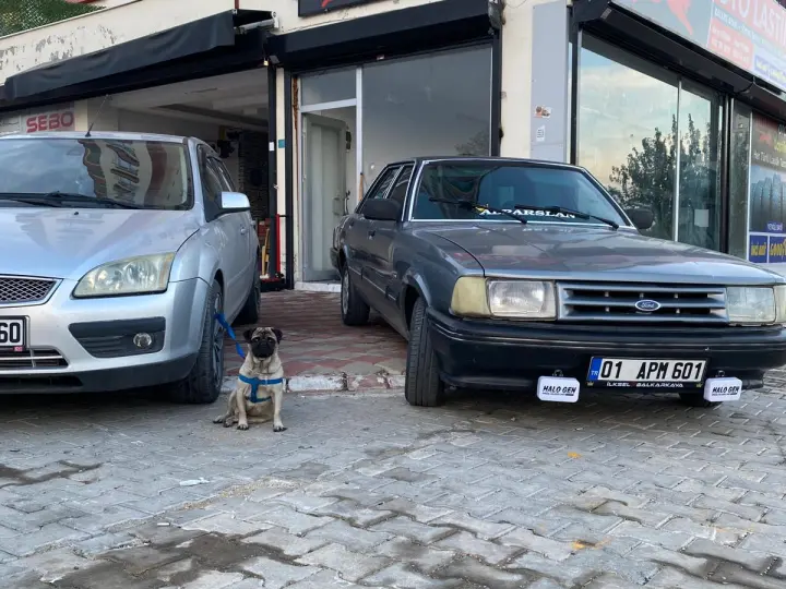 Yıldırım Oto Lastik