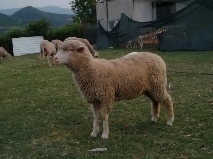 YRT HARFİYAT NAKLİYAT EMLAK