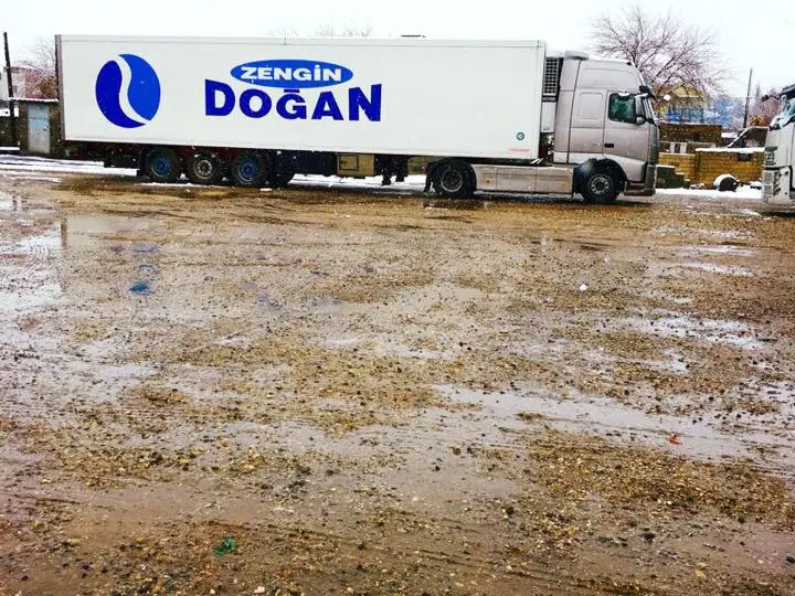 Zengin doğan nakliyat