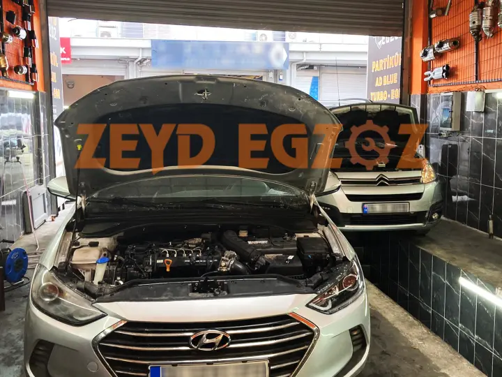 Zeyd Egzoz